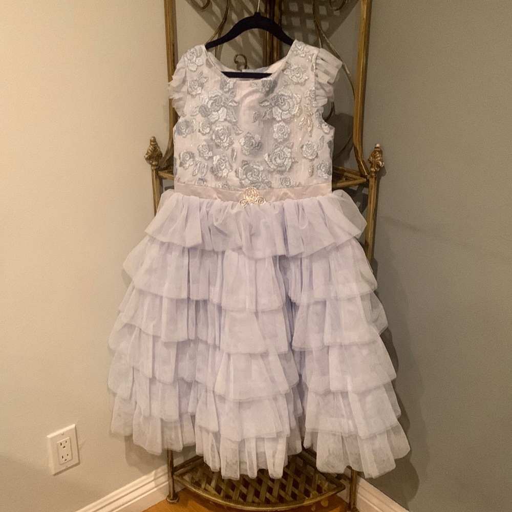 Girls princess dress has been worn but in great condition